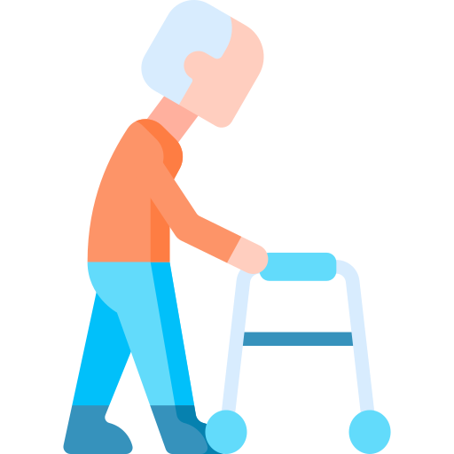 People with Temporary Mobility Limitations